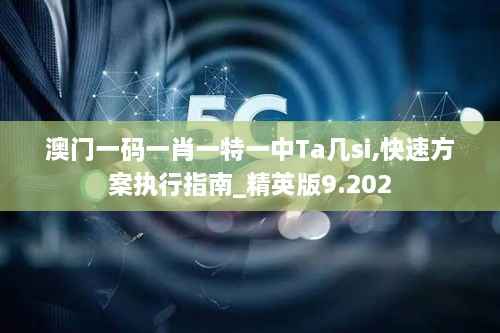 澳门一码一肖一特一中Ta几si,快速方案执行指南_精英版9.202