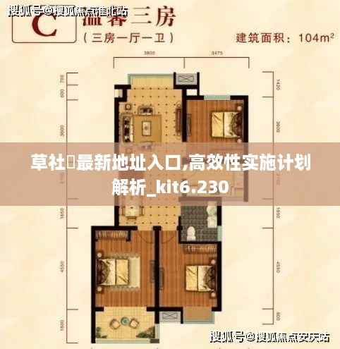 草社區最新地址入口,高效性实施计划解析_kit6.230