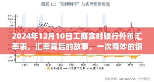 银行之旅揭秘汇率背后的故事,友情见证与实时汇率表