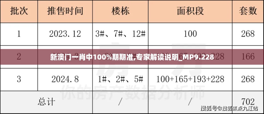 新澳门一肖中100%期期准,专家解读说明_MP9.228