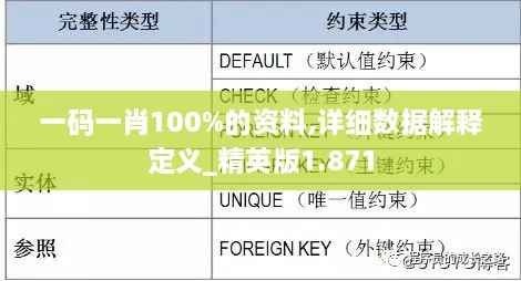 一码一肖100%的资料,详细数据解释定义_精英版1.871