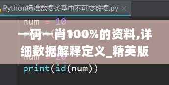 一码一肖100%的资料,详细数据解释定义_精英版1.871