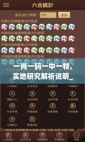 一肖一码一中一特,实地研究解析说明_冒险款10.390