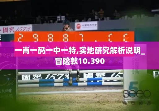 一肖一码一中一特,实地研究解析说明_冒险款10.390