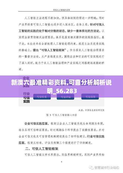 新澳六最准精彩资料,可靠分析解析说明_S6.283