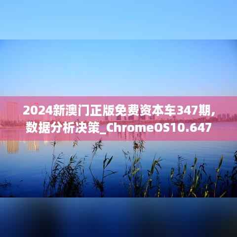 2024新澳门正版免费资本车347期,数据分析决策_ChromeOS10.647