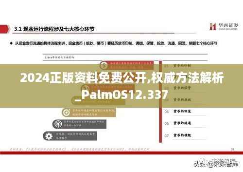2024正版资料免费公开,权威方法解析_PalmOS12.337