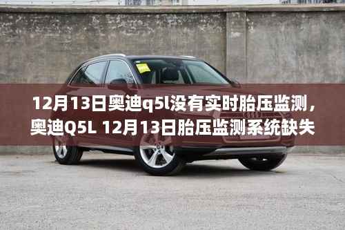 奥迪Q5L胎压监测系统缺失,手动设置与常见问题解决方案指南