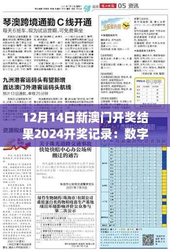 12月14日新澳门开奖结果2024开奖记录:数字的世界,无限的可能