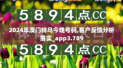 2024年澳门特马今晚号码,客户反馈分析落实_app3.789