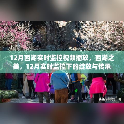 shengruhongzhong 第8页