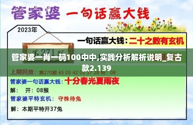 管家婆一肖一码100中中,实践分析解析说明_复古款2.139