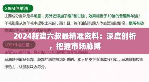 2024新澳六叔最精准资料:深度剖析,把握市场脉搏