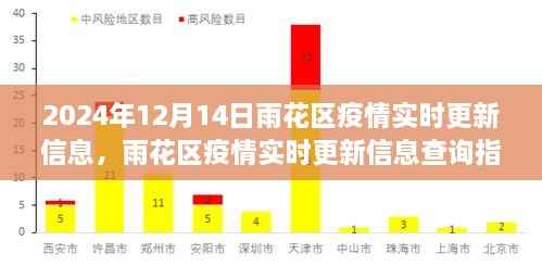 雨花区疫情实时更新信息及查询指南(初学者与进阶用户适用,2024年12月14日)