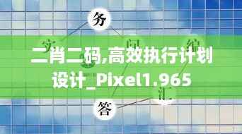 二肖二码,高效执行计划设计_Pixel1.965