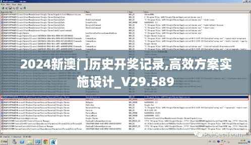 2024新澳门历史开奖记录,高效方案实施设计_V29.589
