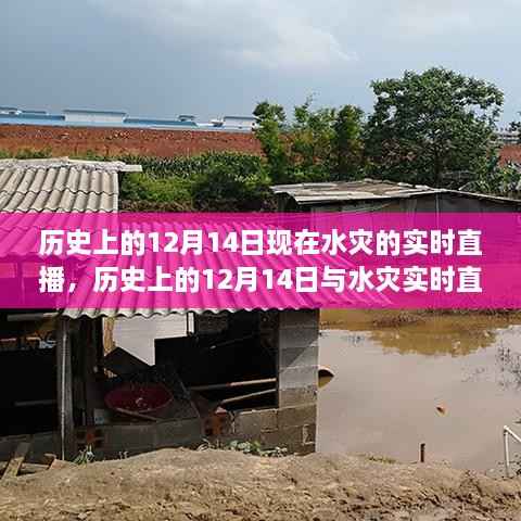 历史上的12月14日水灾实时直播,深度评测与介绍专题放送