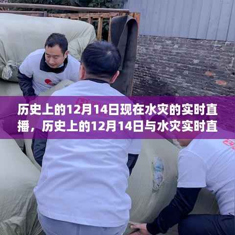 历史上的12月14日水灾实时直播,深度评测与介绍专题放送