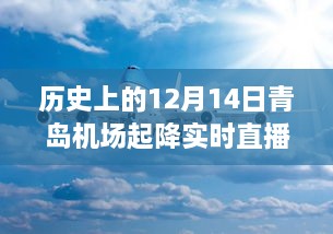 zhaoqianxiti 第7页