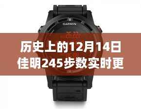 揭秘佳明手表背后的故事,历史上的12月14日与佳明245步数实时更新的幕后故事
