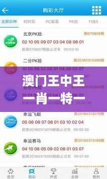 澳门王中王一肖一特一中,标准化流程评估_BT13.549