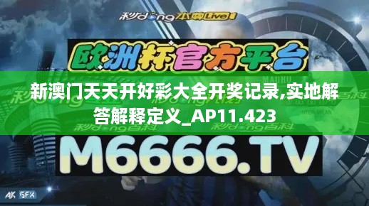 新澳门天天开好彩大全开奖记录,实地解答解释定义_AP11.423