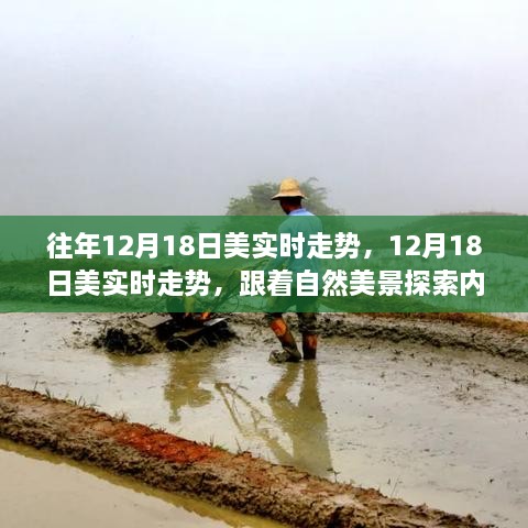 shibigongqing 第5页