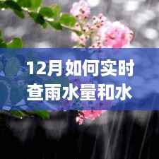 掌握十二月天气变化的关键,实时查雨水量和水压监测方法