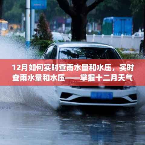 掌握十二月天气变化的关键,实时查雨水量和水压监测方法