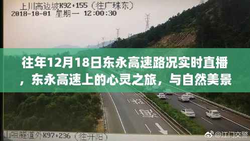 东永高速心灵之旅,实时路况直播与自然美景的邂逅