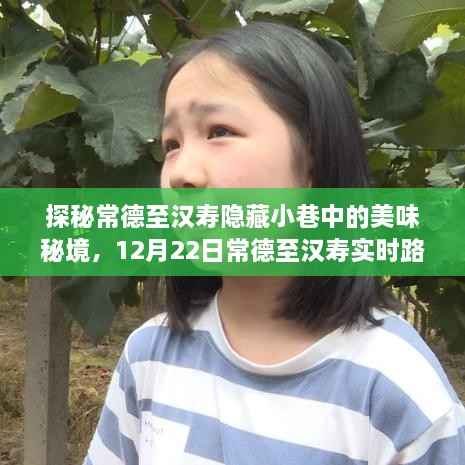 探秘常德至汉寿小巷美食与实时路况,别样风情领略之旅