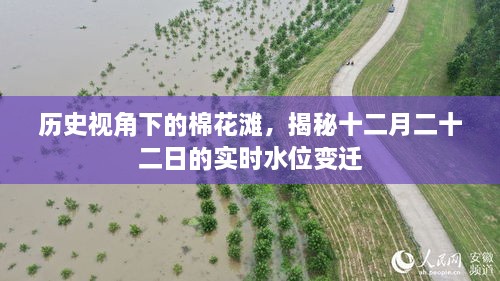 历史视角