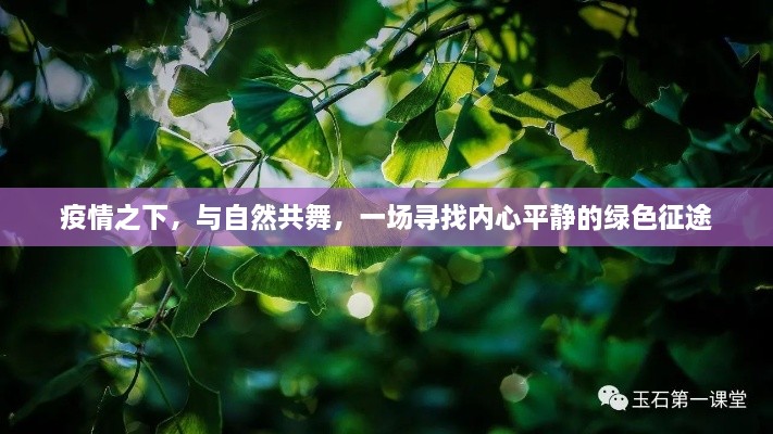 疫情下的心灵之旅,与自然共舞的绿色征途寻找内心平静