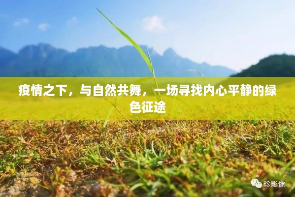 疫情下的心灵之旅,与自然共舞的绿色征途寻找内心平静