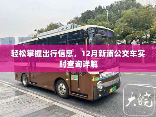 12月新浦公交车实时查询详解,轻松掌握出行信息