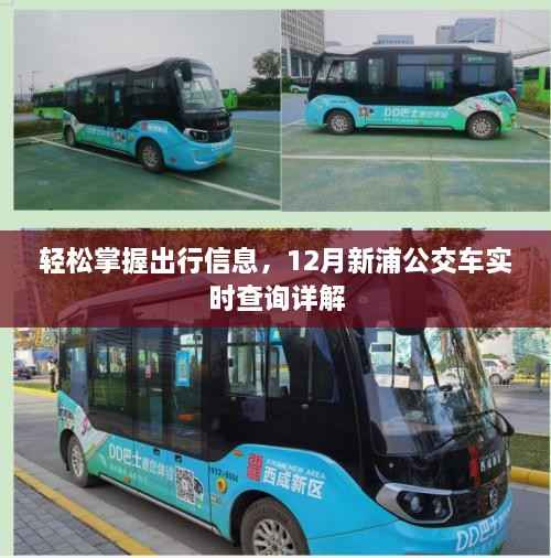 12月新浦公交车实时查询详解,轻松掌握出行信息