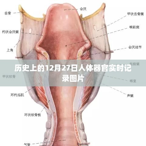 产品展示 第90页