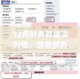 12月财务数据实时洞察,引领企业决策风向标