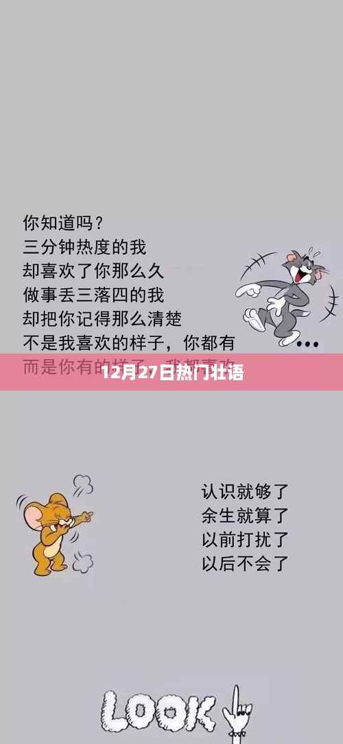 壮语热门资讯,12月27日最新动态