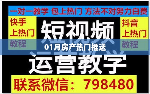 shibigongqing 第2页