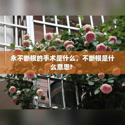 永不断根的手术是什么,不断根是什么意思?