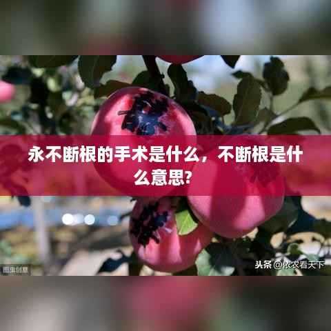 永不断根的手术是什么,不断根是什么意思?