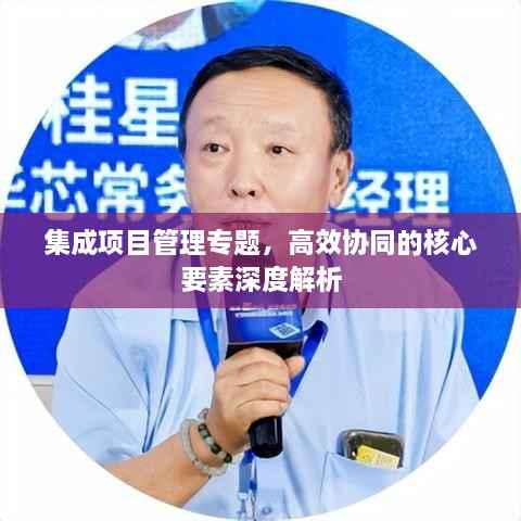 集成项目管理专题,高效协同的核心要素深度解析
