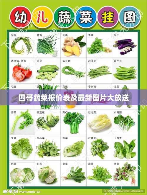 四哥蔬菜报价表及最新图片大放送