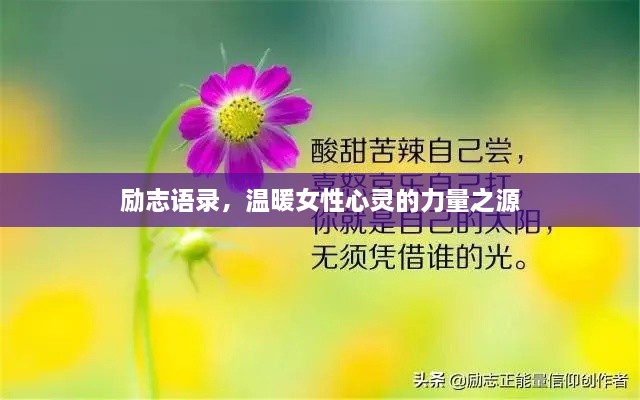 励志语录,温暖女性心灵的力量之源