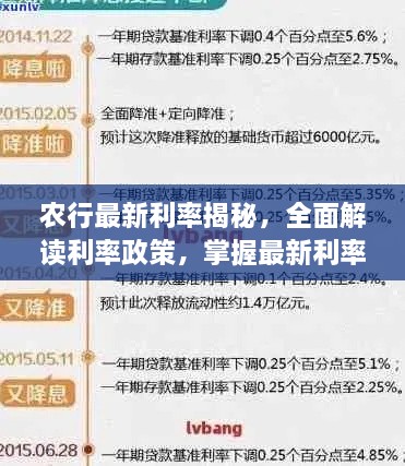客户案例