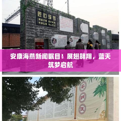 安康海燕新闻瞩目！展翅翱翔，蓝天筑梦启航